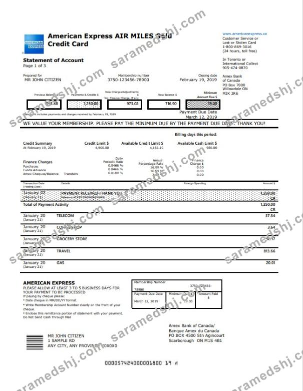 Canada American Express Air Miles Gold Credit Card account statement